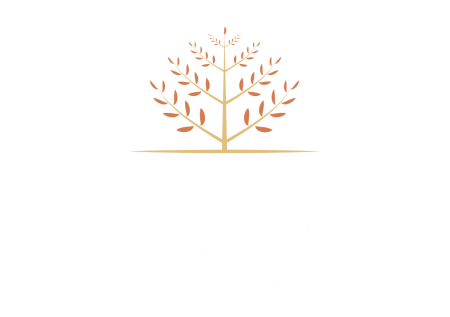 Transparent Logo - Cropped